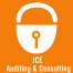 JCE Auditing & Consulting logo